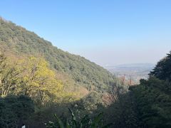 -韬光茶庵