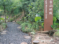 -阳台山森林公园