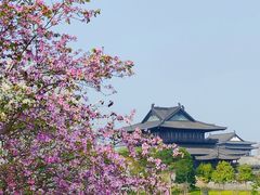 -海珠湖公园