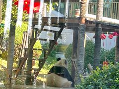 -大连森林动物园