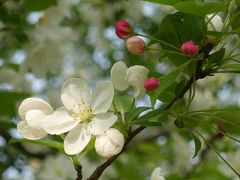 -昆山城市生态森林公园