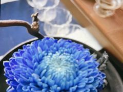 -大拙里·精致融合菜(沙湖桃源国际店)