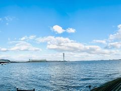 -上海吴淞炮台湾国家湿地公园