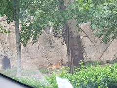 -秦皇岛野生动物园