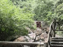 -白云源风景区