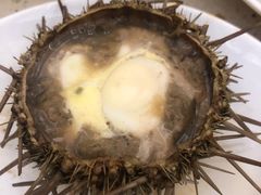 -港畔赶海蒸汽海鲜烧烤自助(仙螺岛店)
