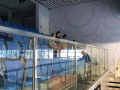 -布噜游泳俱乐部(东闸路店)