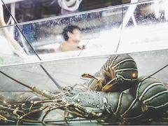-班赞海鲜市场