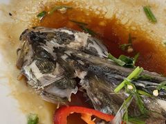 -八仔大富楼·河鲜(西江店)