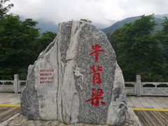 -牛背梁国家森林公园