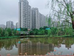 -沐仙湖湿地公园