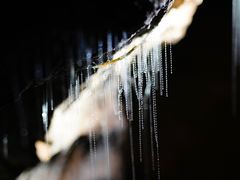 -怀托摩萤火虫洞