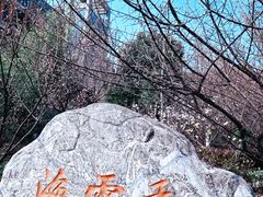 -香雪海