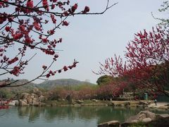 景点-白马涧龙池景区