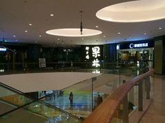 -百年果林椰子鸡(中洲店)