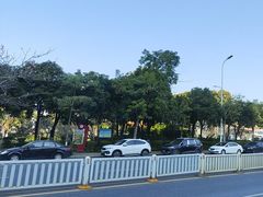-飞来湖湿地公园