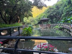 -月亮湾公园