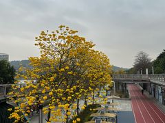 -福道