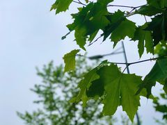 -炸串卷饼(北沈路店)