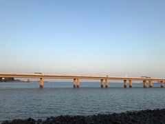 -海堤纪念公园