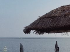-太湖面馆十八浇(渔港路店)