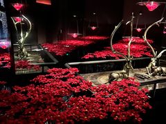 -尔雅释地足道SPA·旗舰店