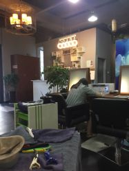 -discovery 发现 hair salon