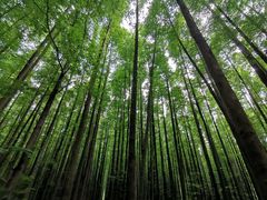 -山王坪喀斯特国家生态公园