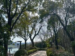 -天目湖涵田半山温泉