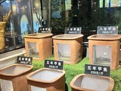 -王捌小院(红花坡店)
