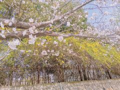 -牧歌商务公馆(南门店)