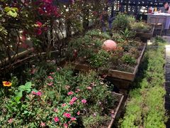 -冰冰龙虾·江湖菜·花园江景餐厅