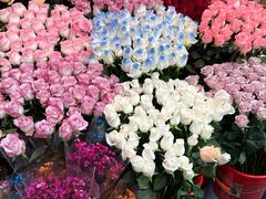 -越秀西湖花市(广州城市广场花卉店)