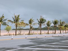 -万山楼海鲜酒家·二十三年老字号
