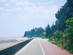 -北海金海湾红树林生态旅游区