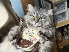 -美联众合动物医院·24h转诊中心