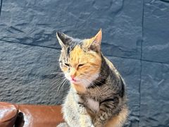 -海底捞火锅(王府井店)