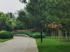 -北坞公园