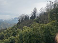 -莫干山风景区