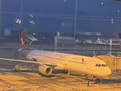 -青岛胶东国际机场