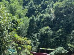 -将军关探险漂流