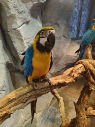 -Zoolung Zoolung动物主题公园(海信广场店)