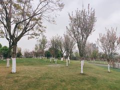 -府河摄影公园