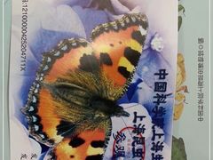 -上海昆虫博物馆