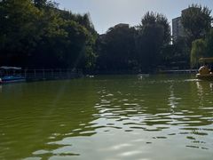 -莲湖公园