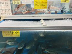 -西归浦每天偶来市场