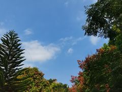 -丹樱生态园