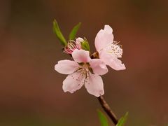 -共青国家森林公园-售票处