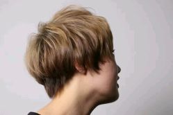 -崇尚GAVIN STYLE