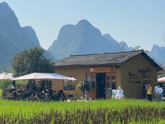 -村上春树